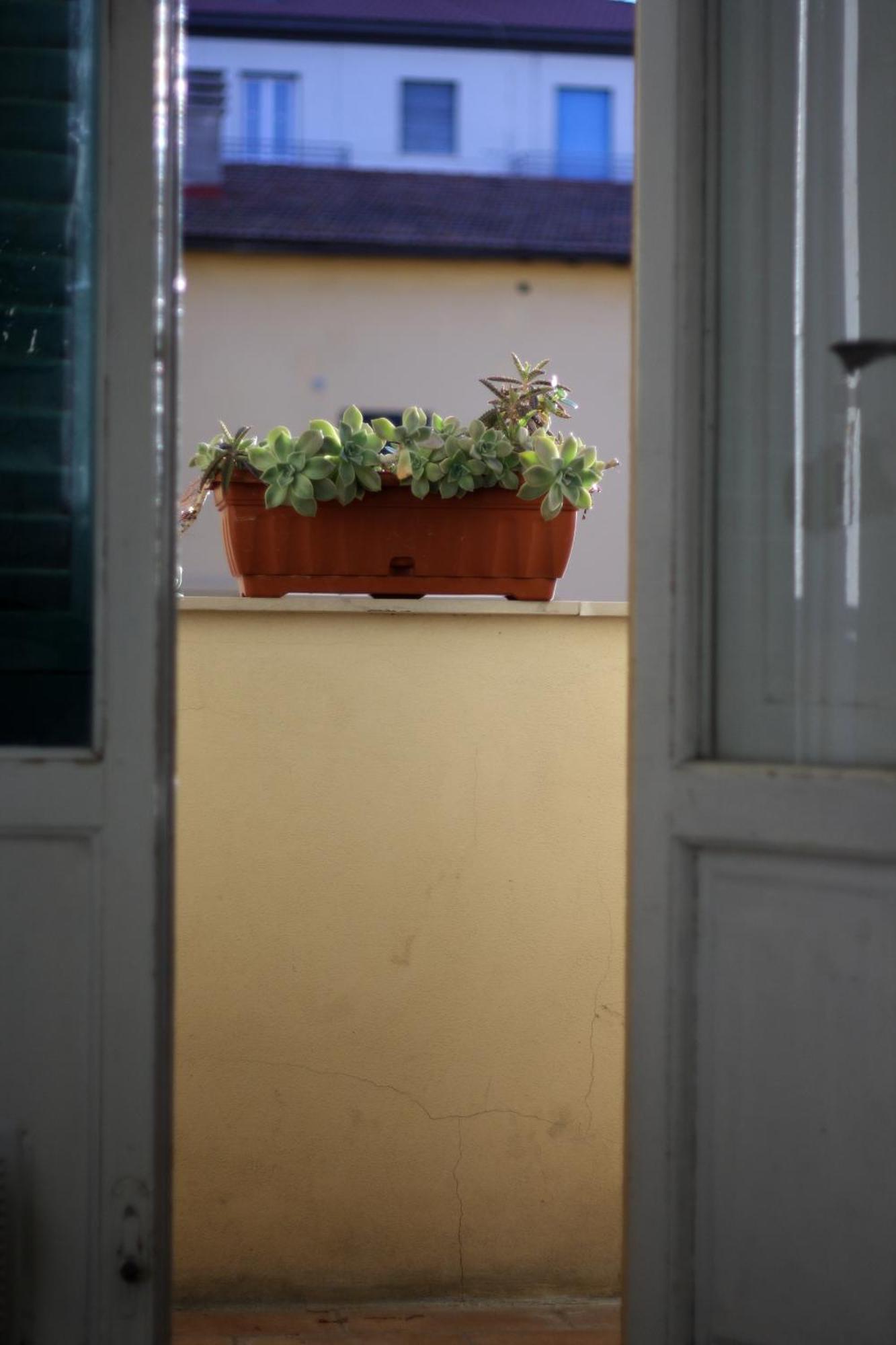 A Due Passi Dal Treno Apartment Pisa Exterior photo